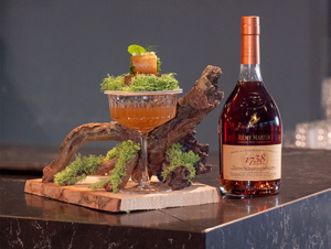 recette cocktail cannelloni saumon