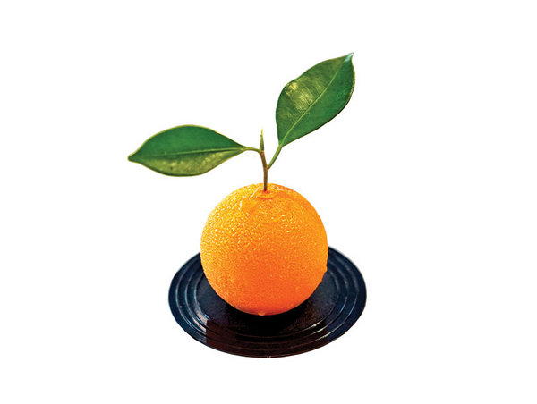 reconstituted orange recipe