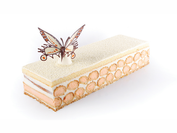 recette de bûche pistache vanille