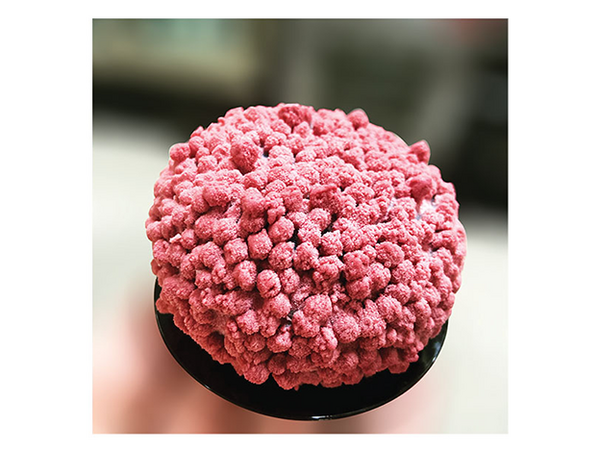 recette de dessert individuel myrtille chocolat