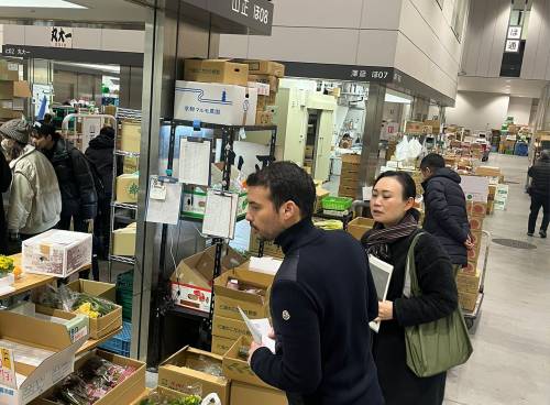 Toyosu Market_news 3-min.jpg